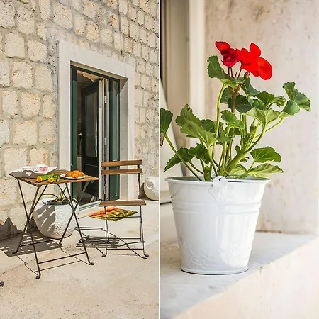 Apartment Dominko *