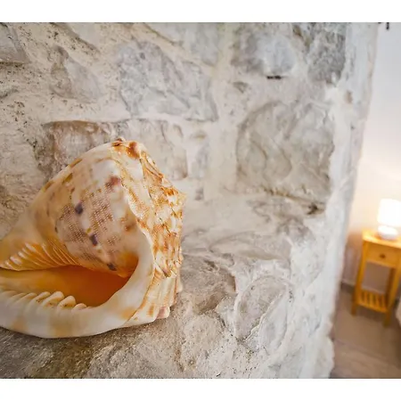 Apartmán Dominko